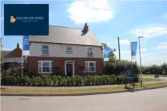 David Wilson Homes